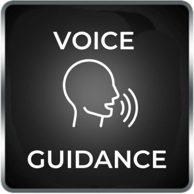 GPS Navigation system voice Guidance